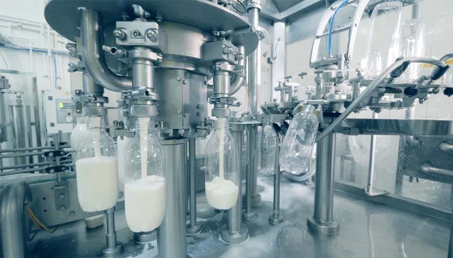 Food and beverage processing plant piping and flanges
